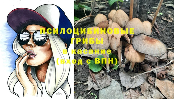 винт Медвежьегорск