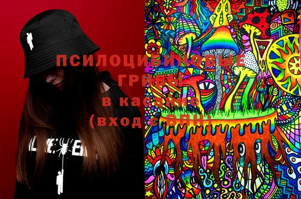 винт Медвежьегорск