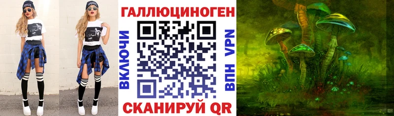 blacksprut маркетплейс Шилка Псилоцибиновые грибы Psilocybine cubensis